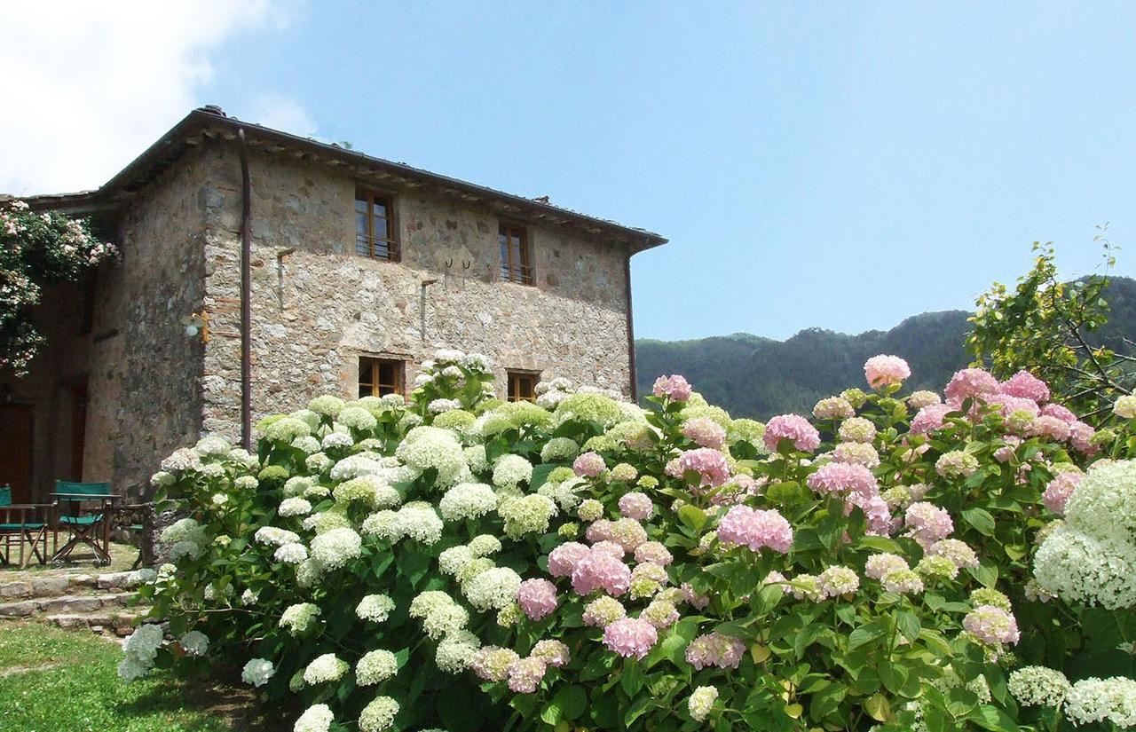 Villa Bottino By Salogi Villas San Martino in Freddana Экстерьер фото